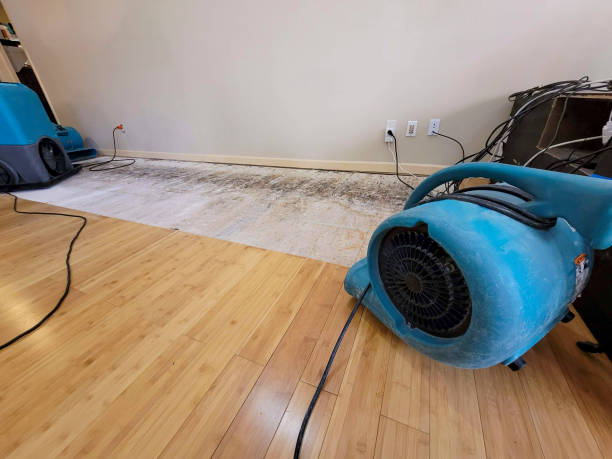 Reliable Basement Flood Cleanup contractor in Bloomington, TX by Hirex Water Damage