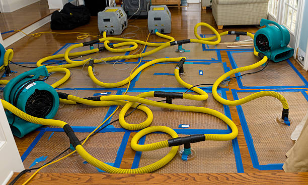 Professional Basement Flood Cleanup technician working in Bloomington, TX